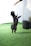 A black dog is jumping on a green lawn, reaching upwards towards a hand holding a treat. The scene is well-lit with natural light and the background features a white wall and a black pot with a plant.