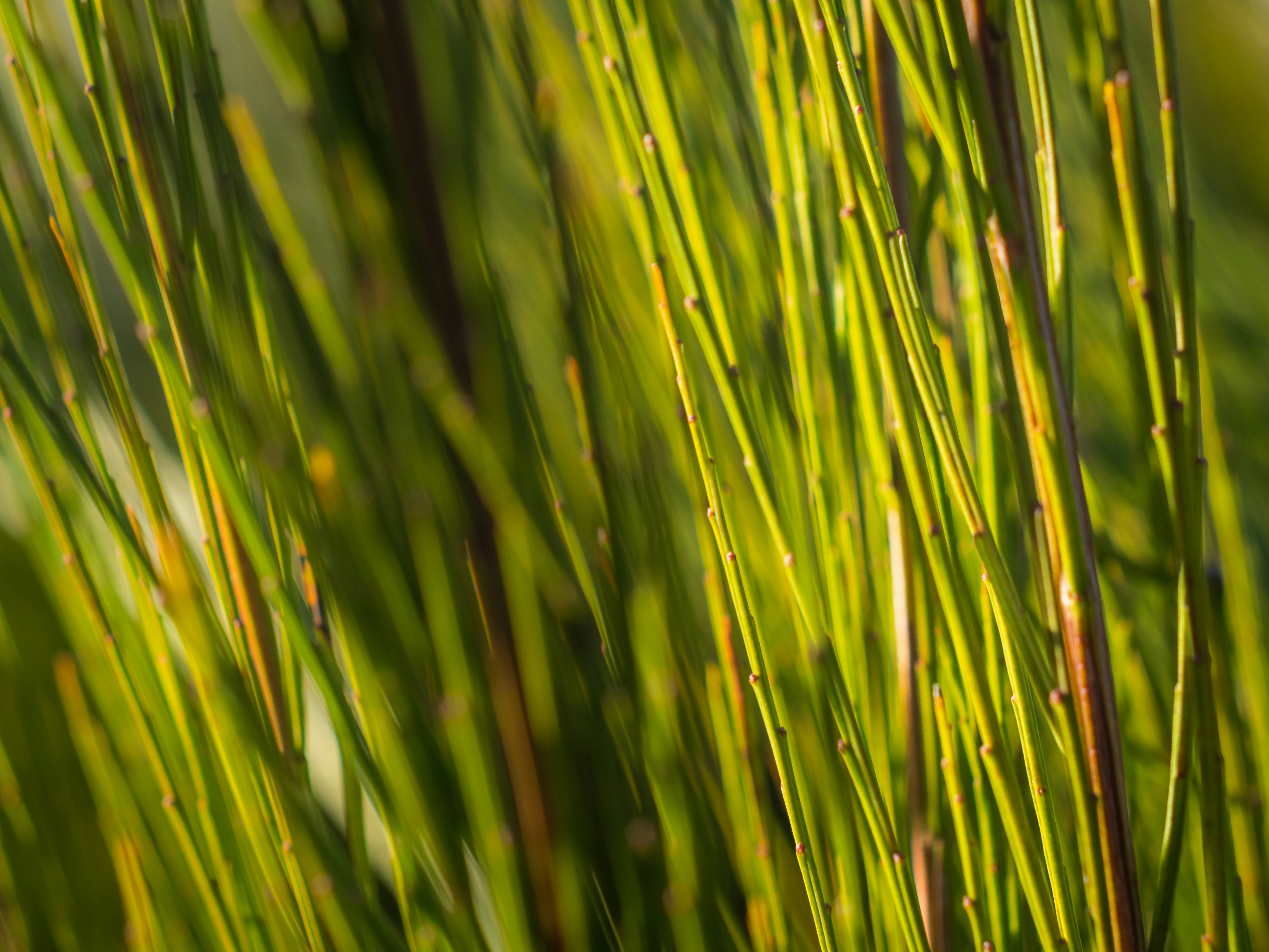 Photo by greg_rosenke