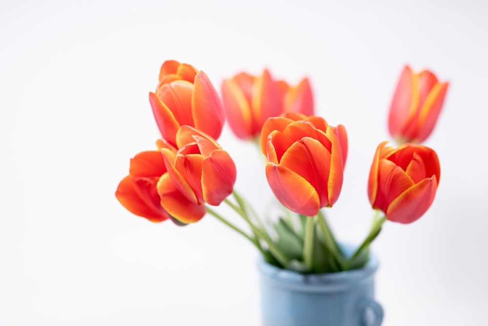 a bunch of orange tulips in a blue vase