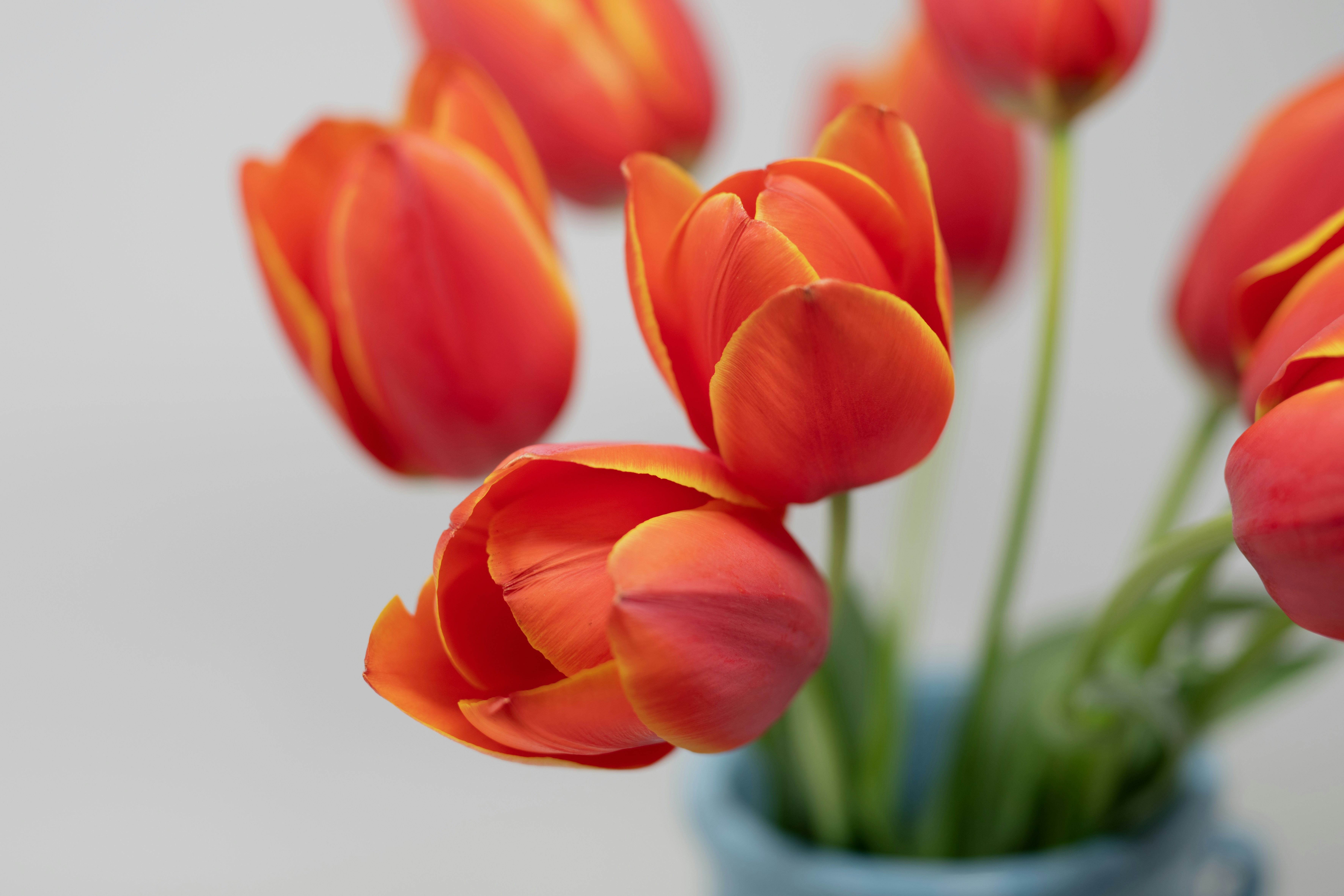 Photo by lauraadaiphoto