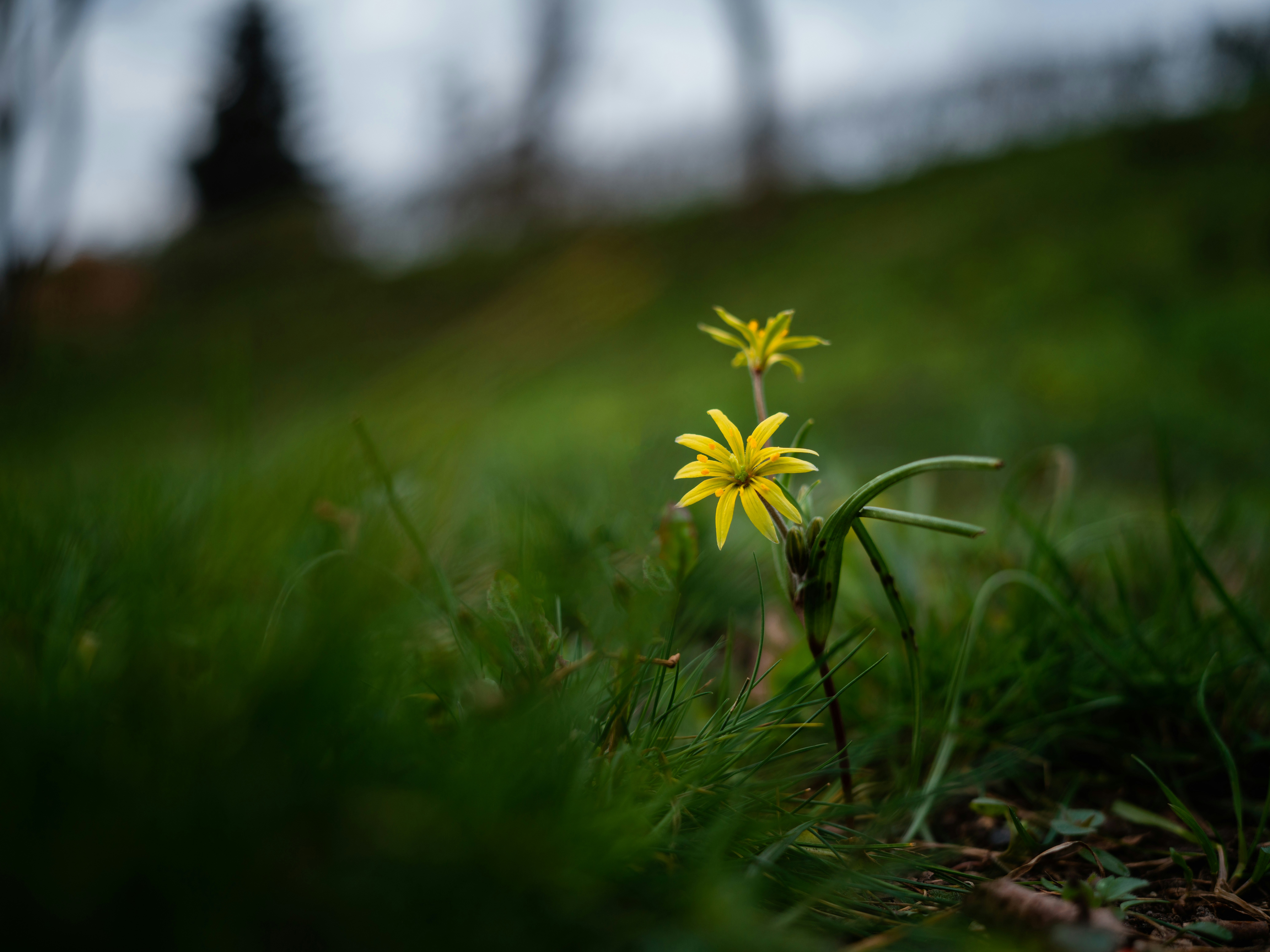 Photo by egorkomarov
