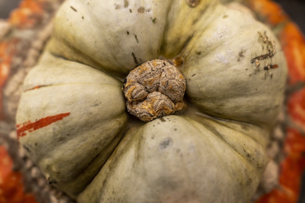 a close up of a white pumpkin on a table