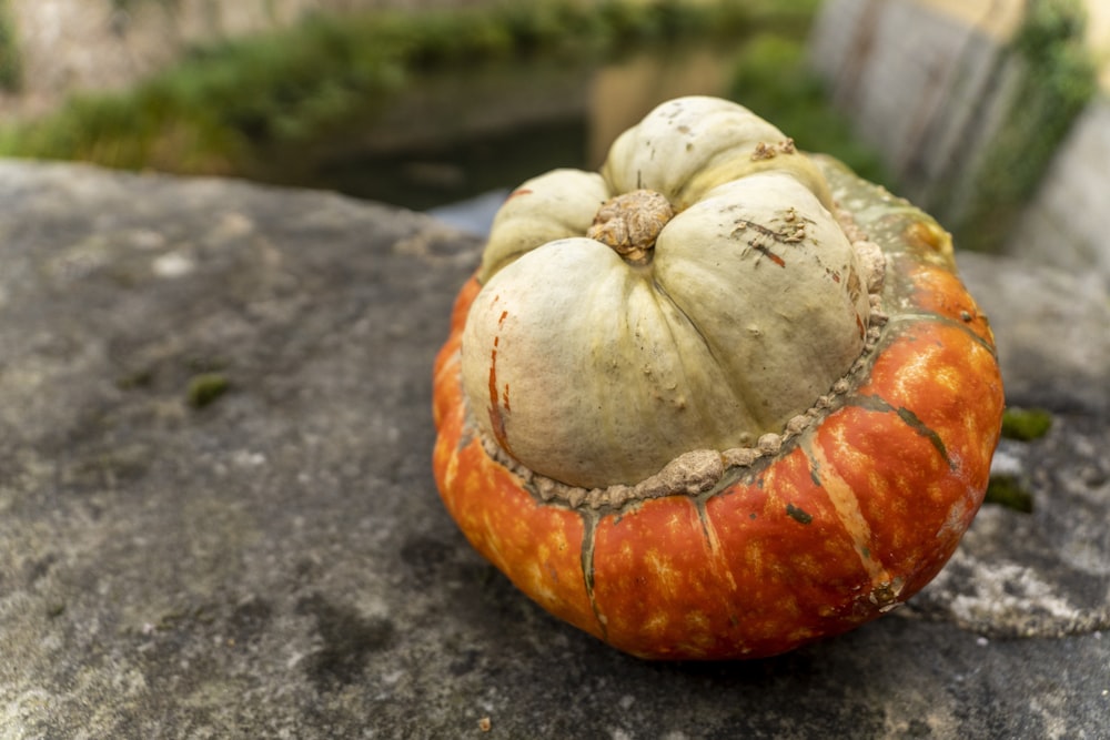 a pumpkin sitting on top of a rock