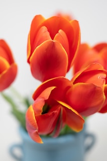 A close-up of vibrant flowers arranged in a modern vase.