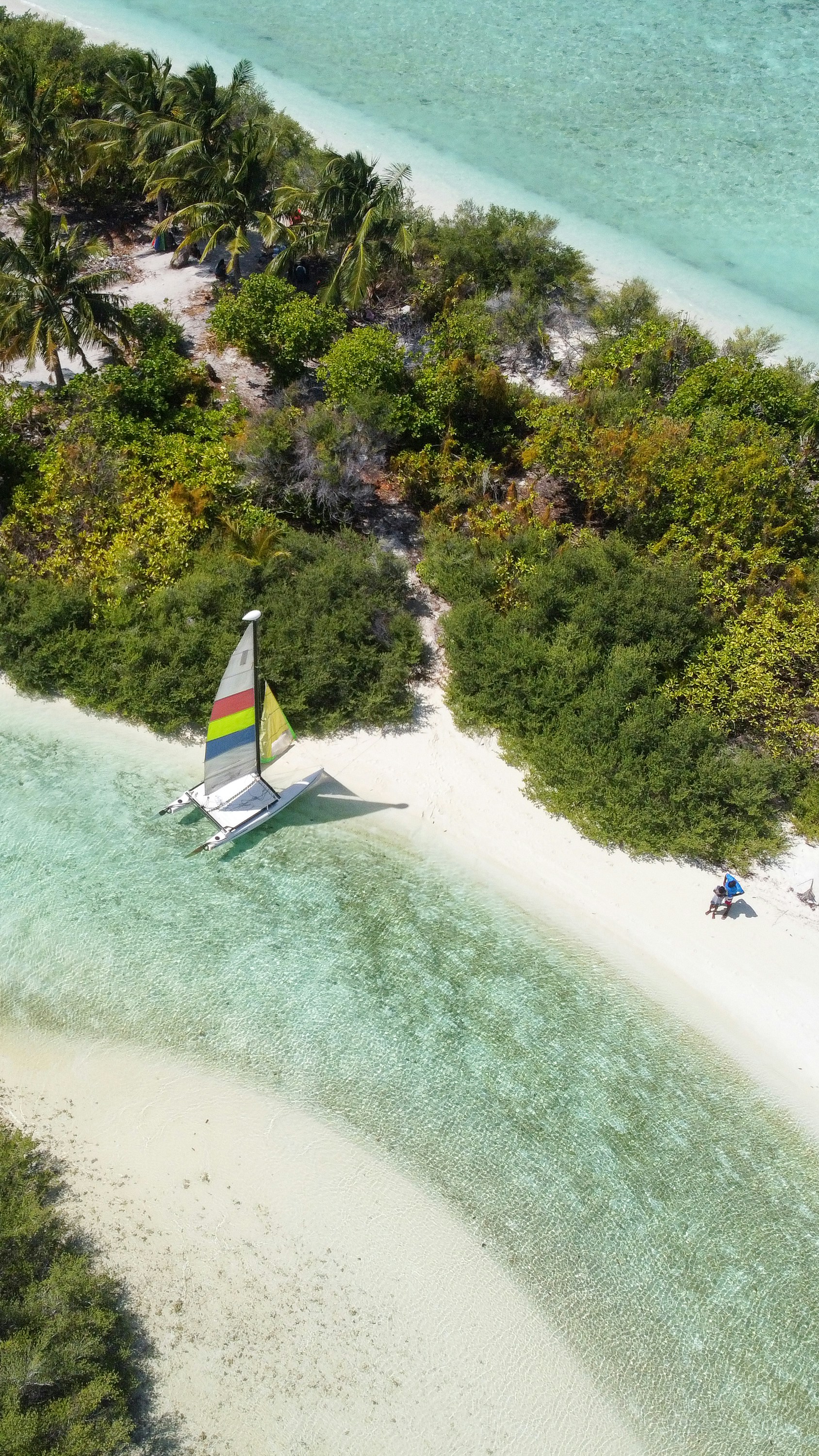 an aerial view of a beach with a sailboat