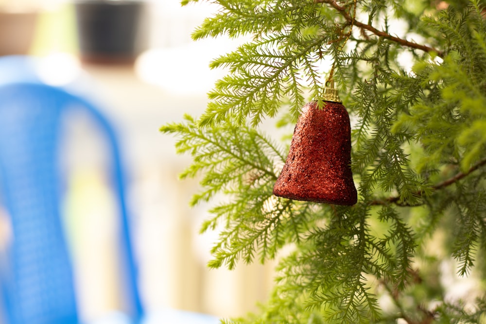 a red ornament hanging from a tree branch