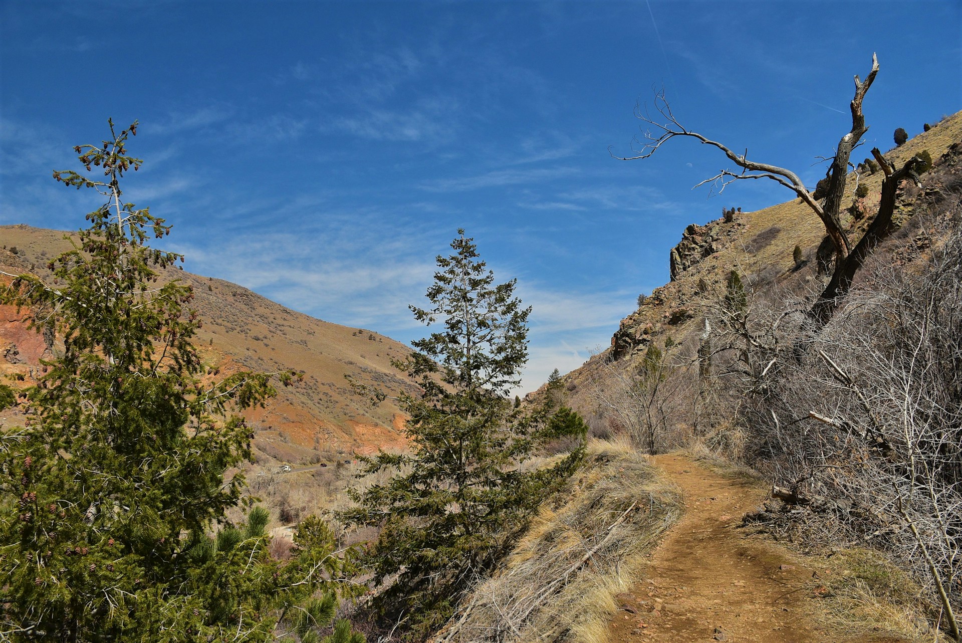 A rugged outback trail winding through red earth and sparse eucalyptus trees under a wide blue sky.