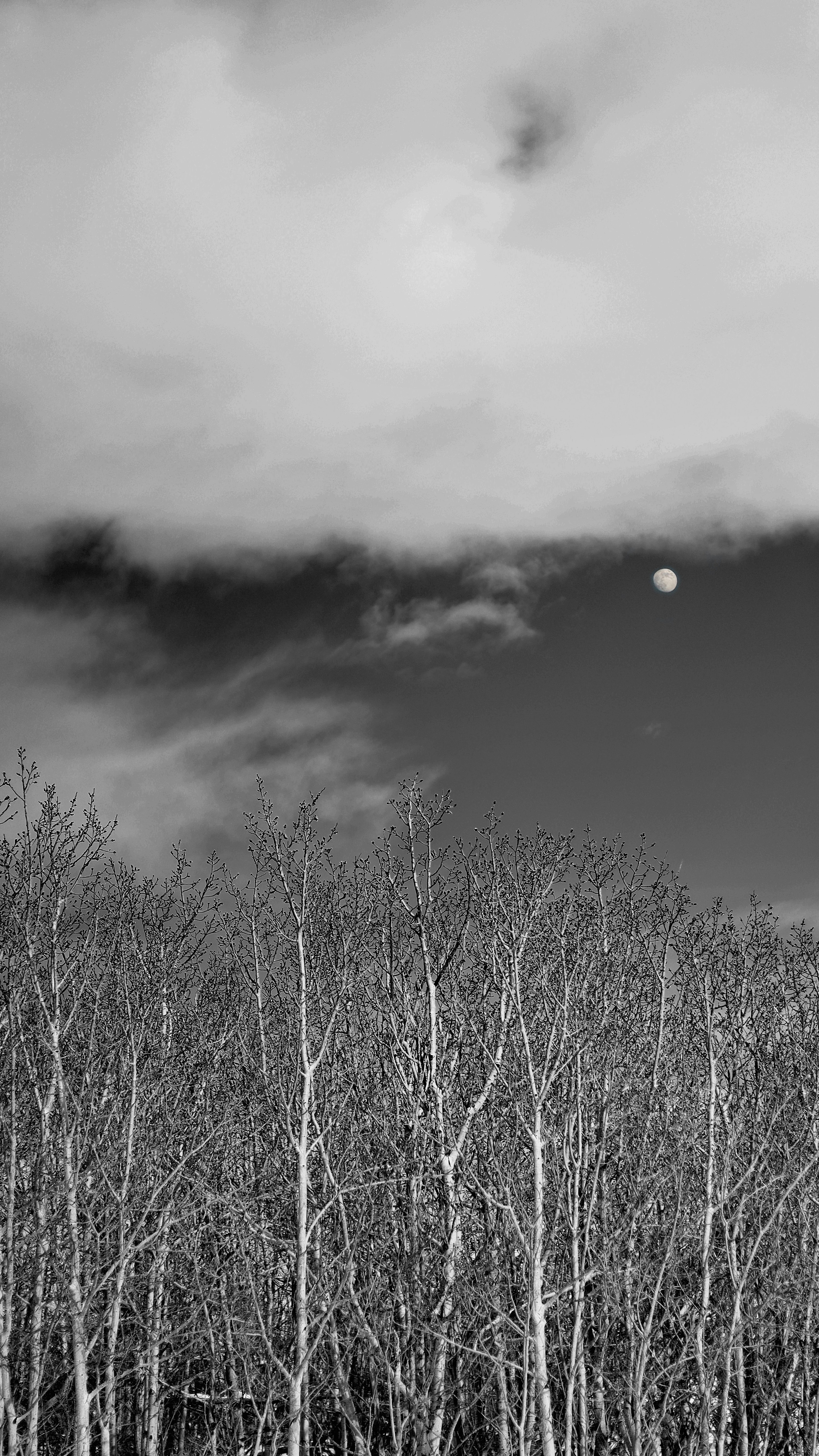 Photo by sangam_sharma