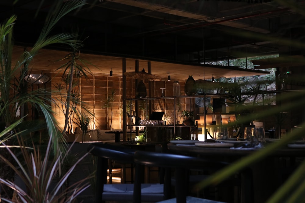 a dimly lit restaurant with a lot of plants
