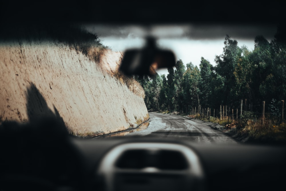 a car driving down a road next to a forest