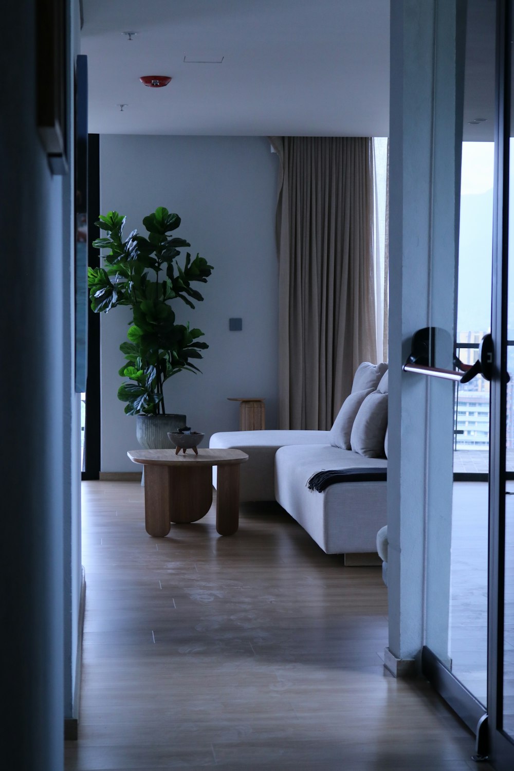 a living room with a couch a table and a potted plant