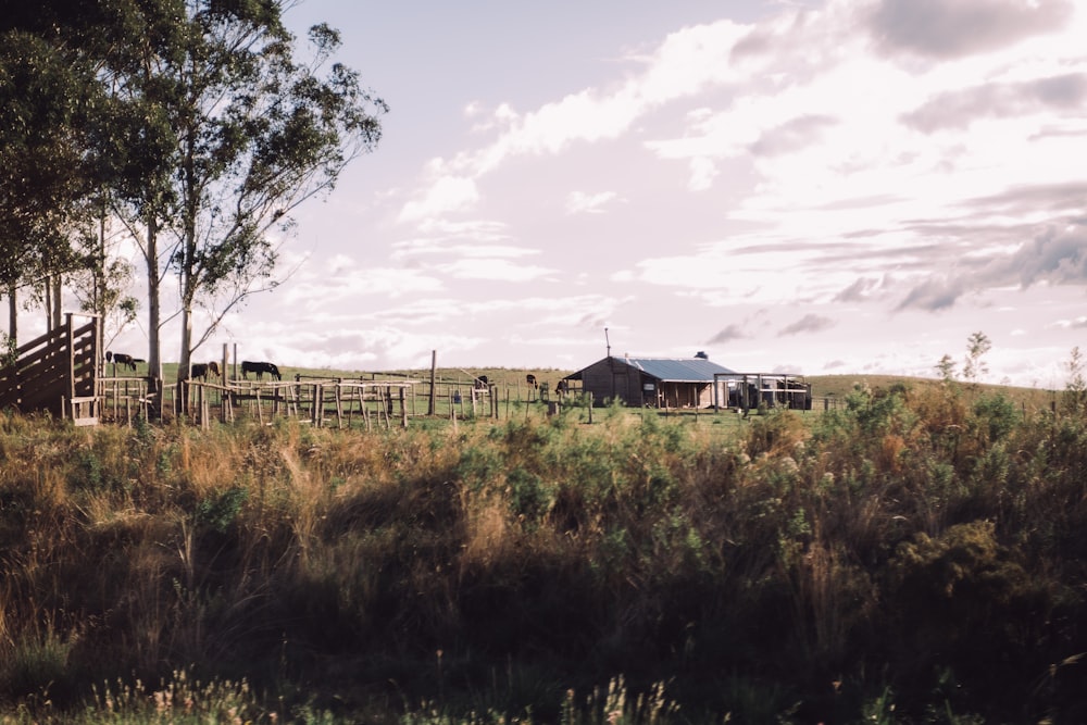 a farm with a fence and a barn in the background