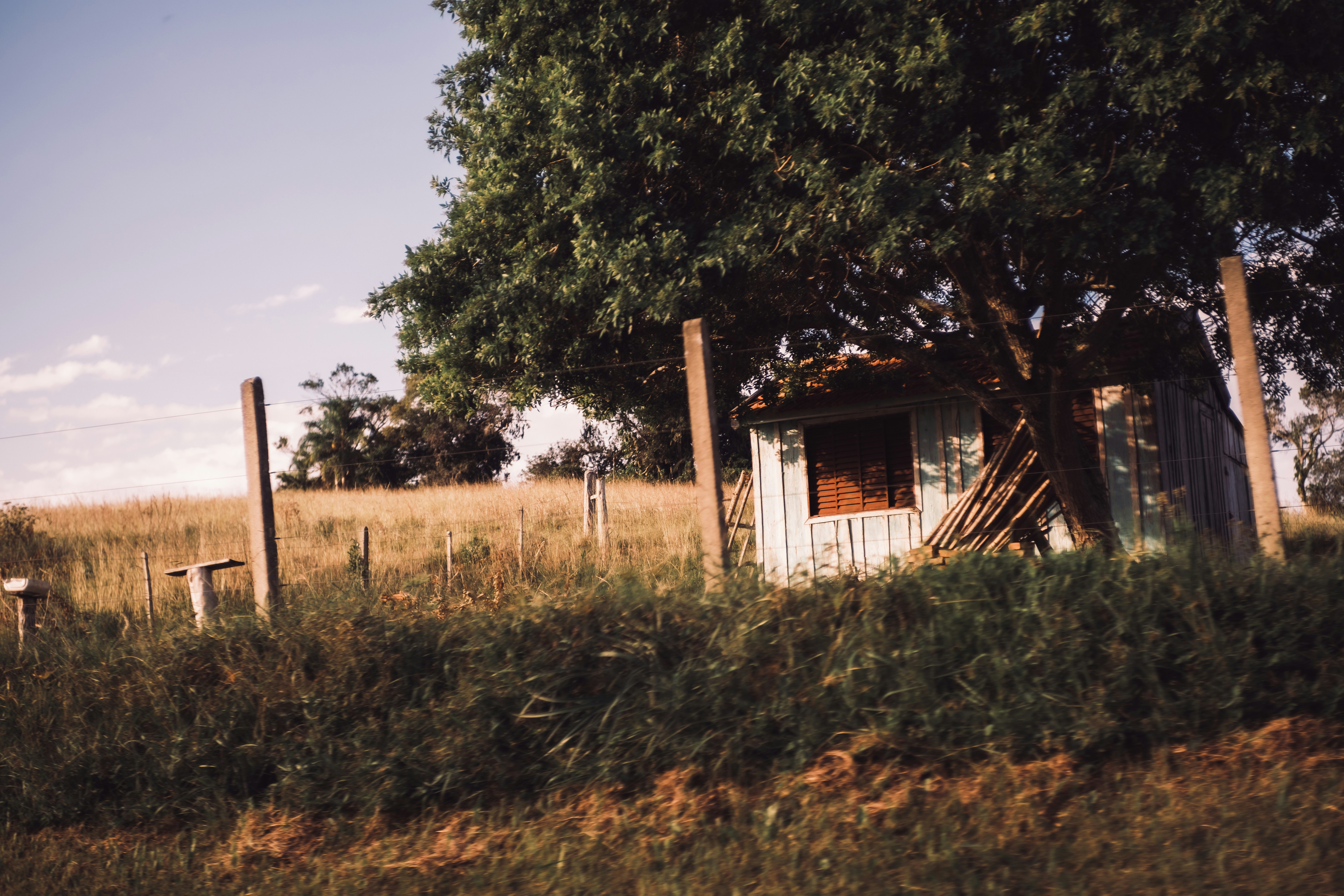 Photo by vanya_nichego