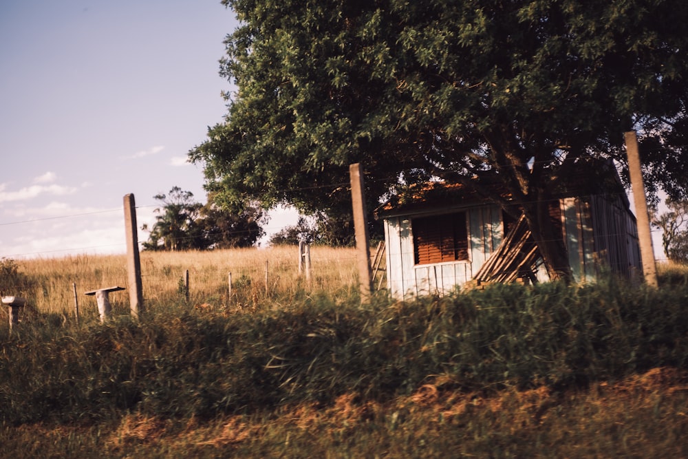 an outhouse in the middle of a grassy field