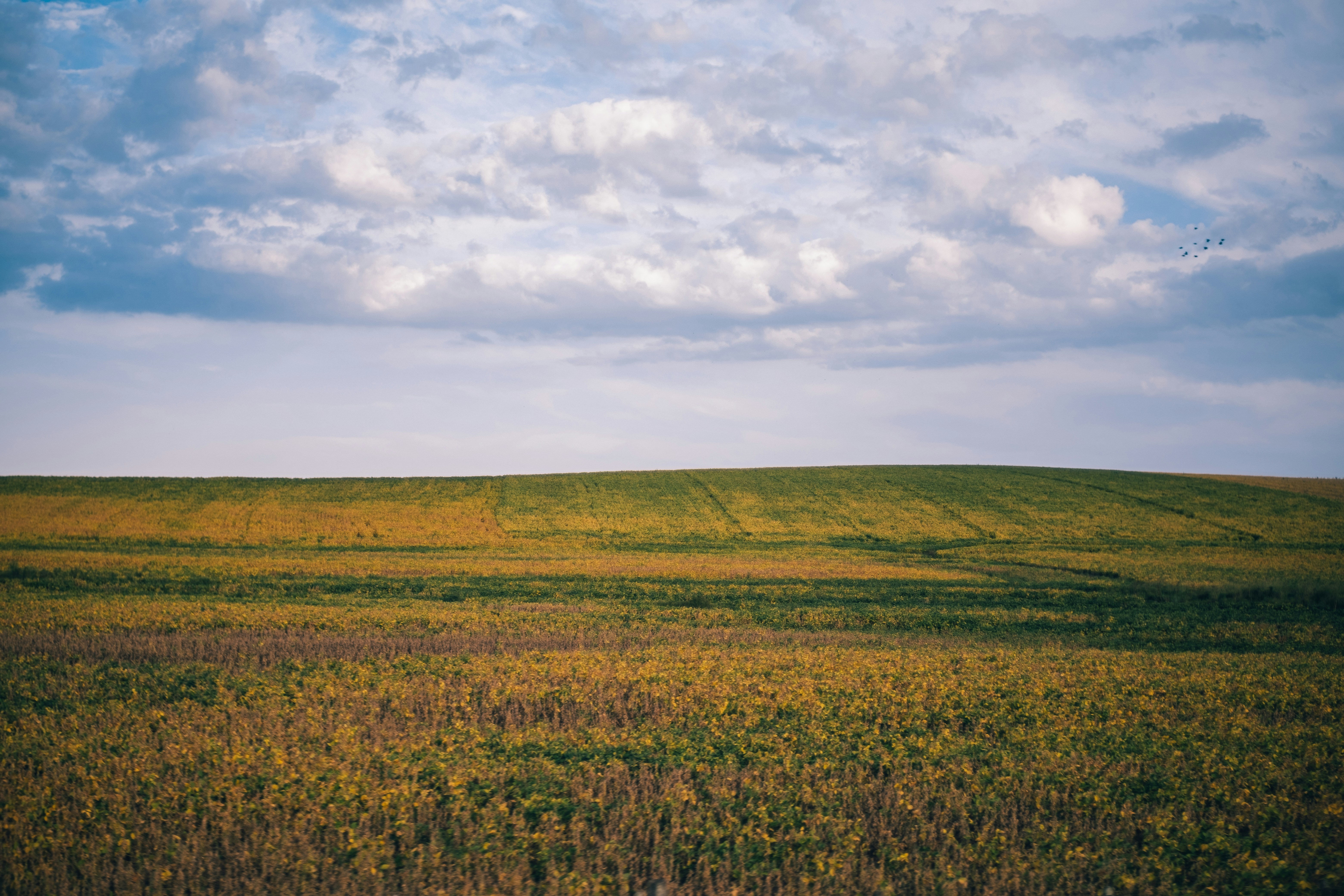 Photo by vanya_nichego