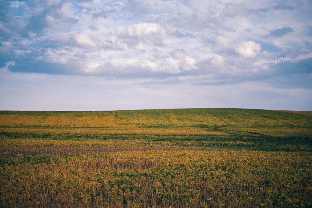 a large field of grass under a cloudy sky