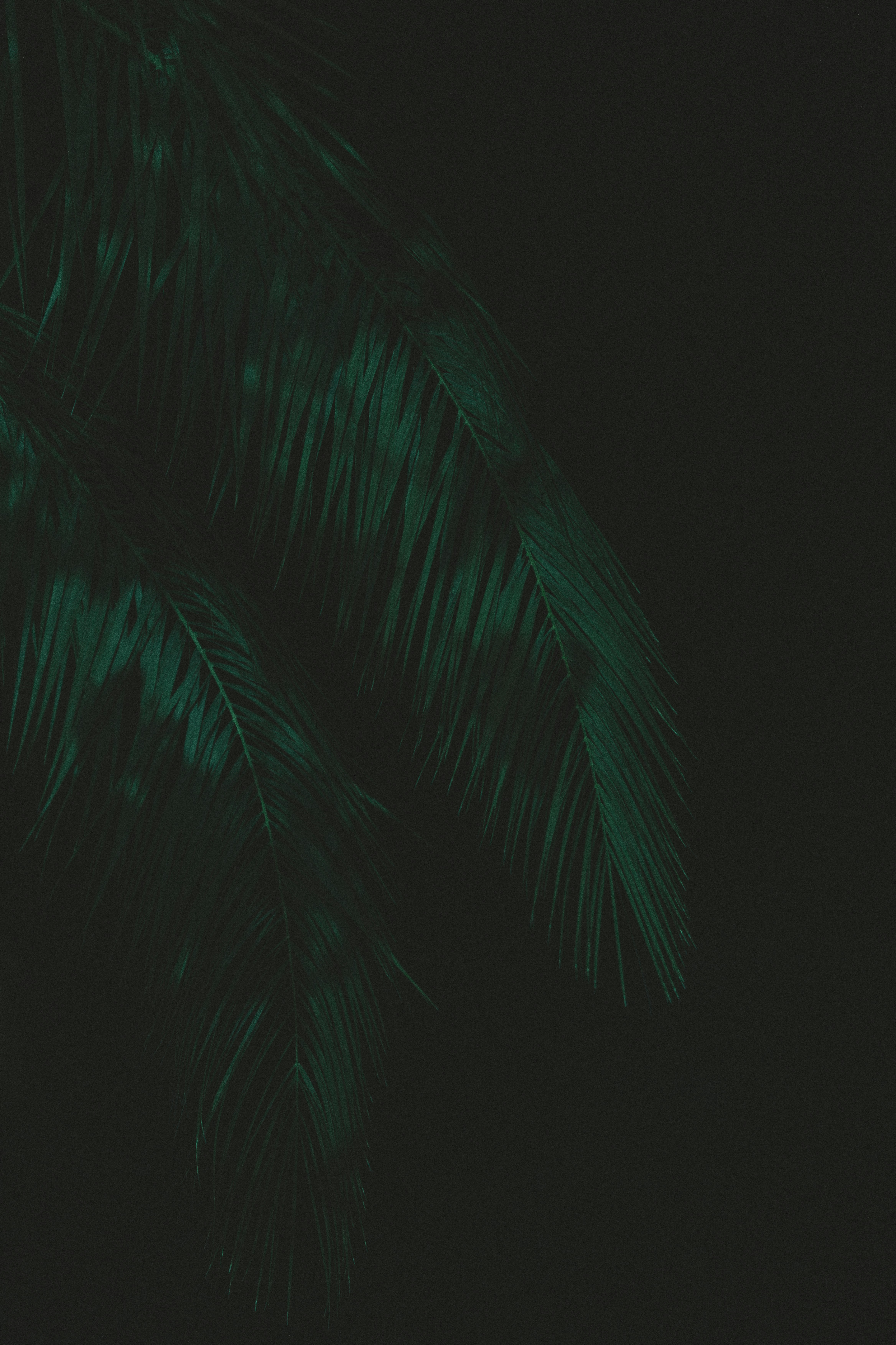 Photo by yusufgunduz00