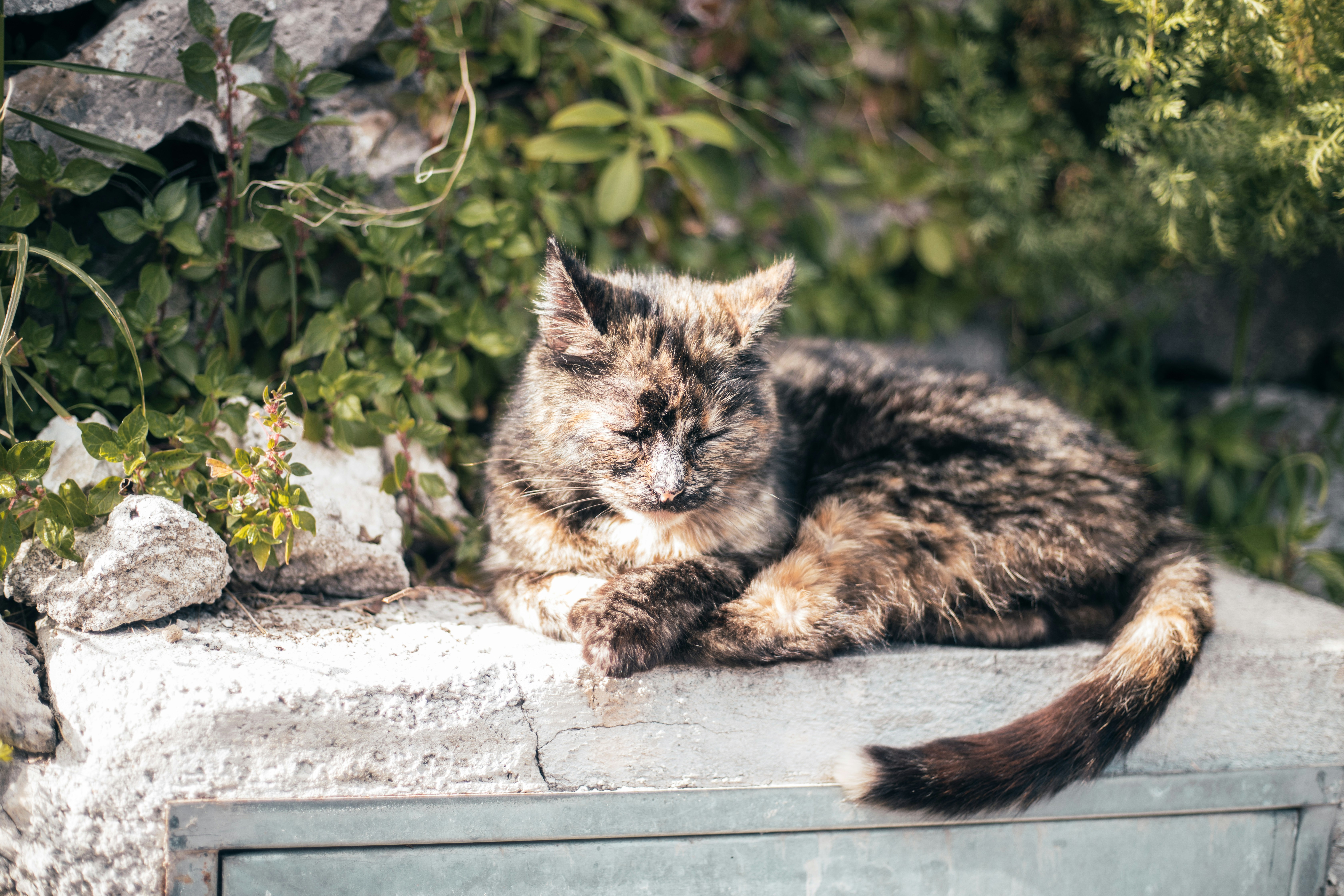 Photo by benjamin92black