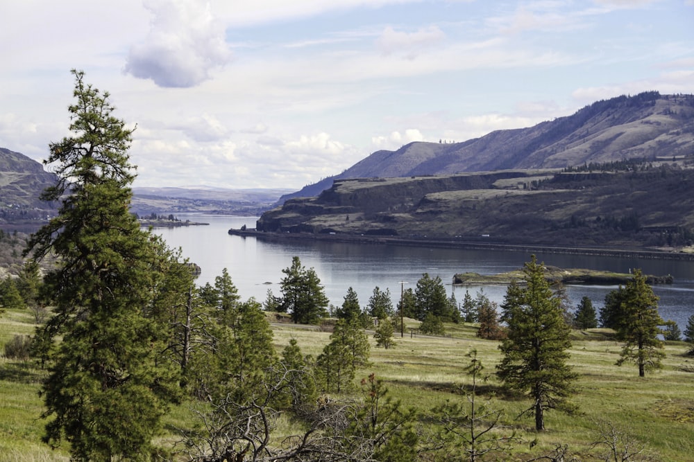 a scenic view of a lake surrounded by mountains