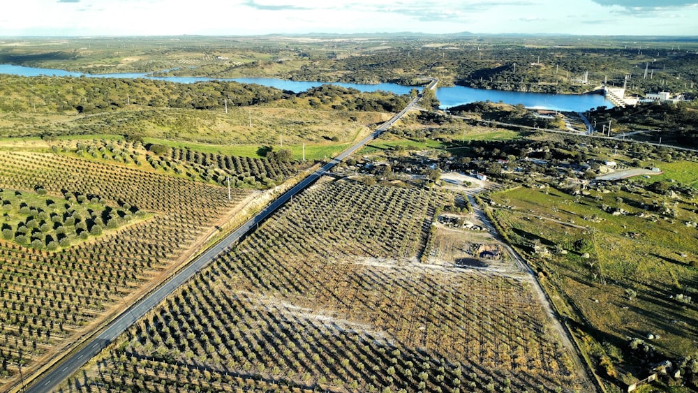 an aerial view of a large field of trees