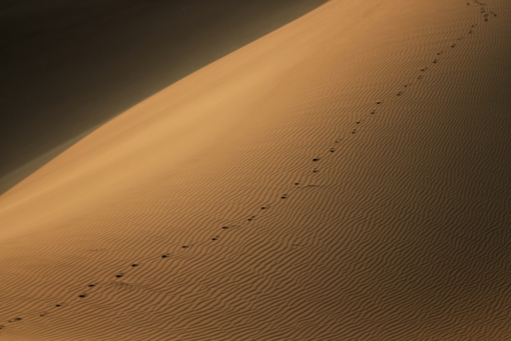 Empreintes de pas dans le sable d’un désert