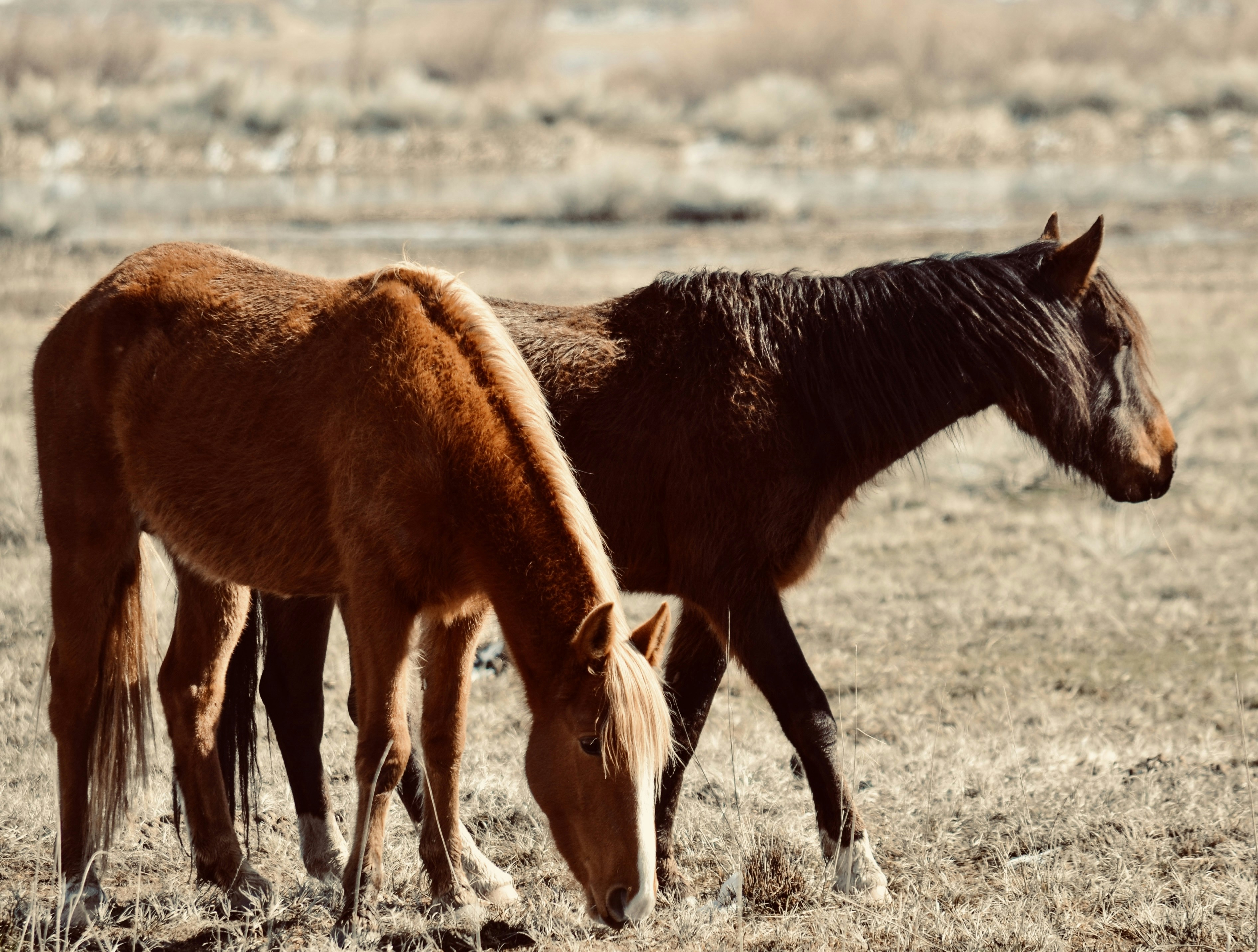 Photo by rachel_joyce