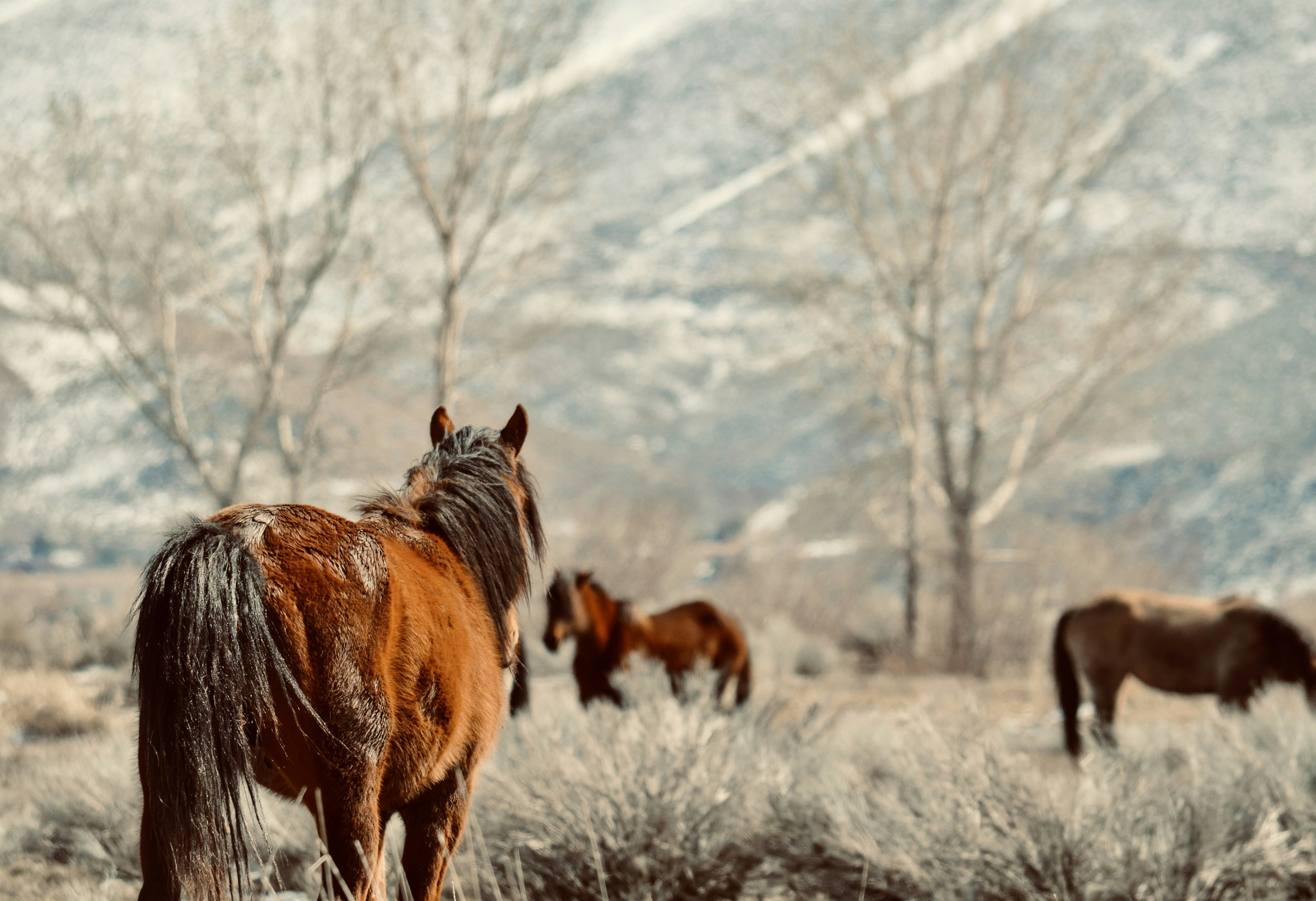 Photo by rachel_joyce