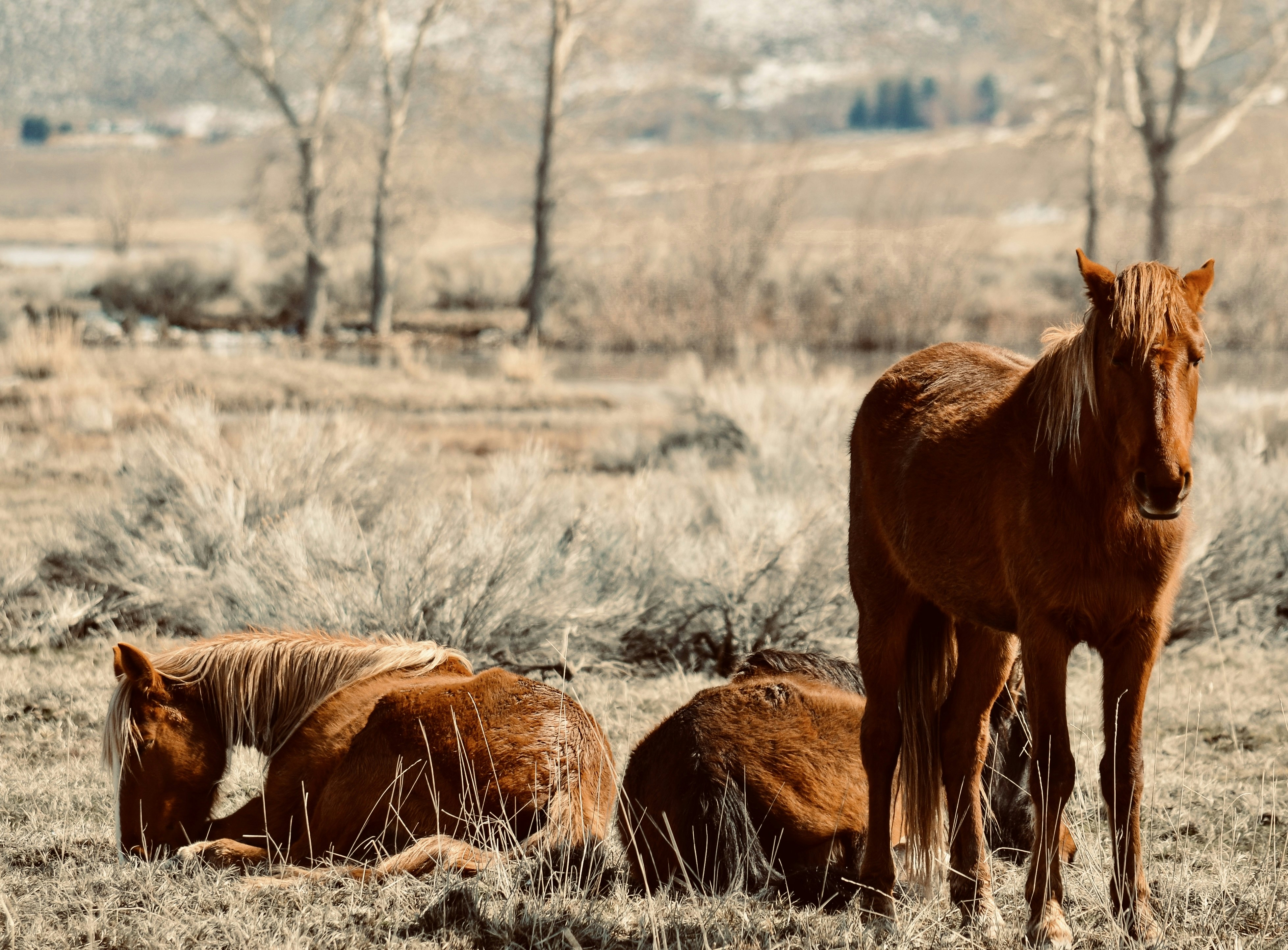 Photo by rachel_joyce