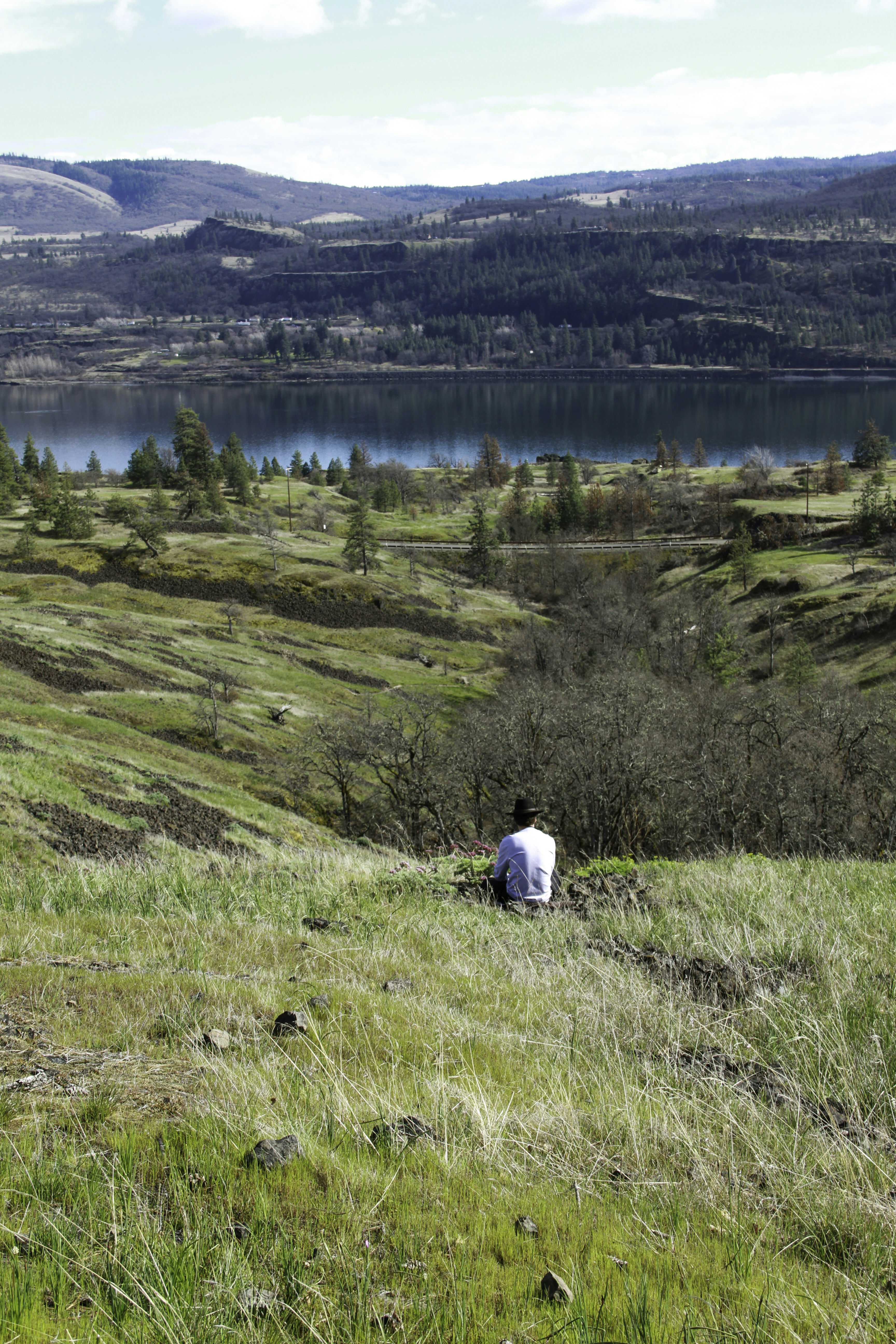 A man sitting on top of a lush green hillside photo – Free Columbia ...