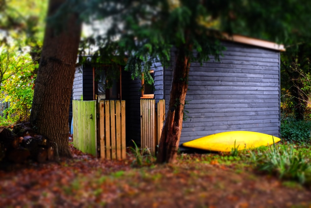 a yellow surfboard sitting next to a tree