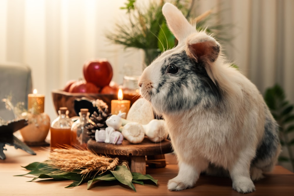 a rabbit sitting on a table next to a basket of food