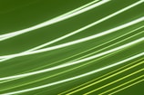 Bright lines of light streak across a green background, creating a sense of motion and energy.