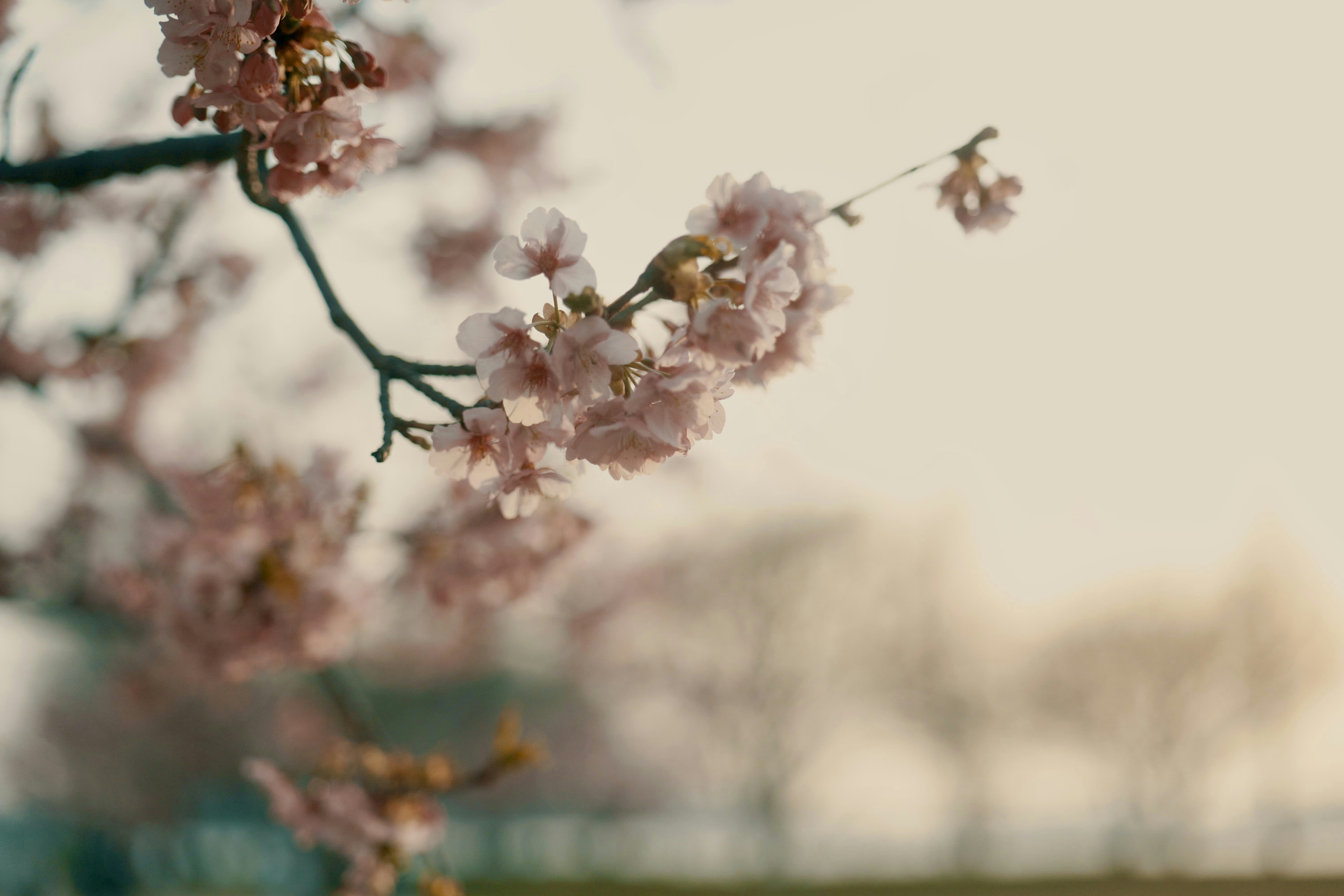 Photo by okuyama_leo