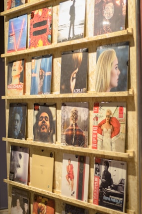 A display shelf filled with vinyl records, each showcasing album artwork. The records are neatly organized on wooden shelves, and the covers feature various artists and designs, ranging from portraits to abstract art.