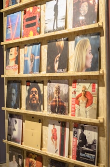 A display shelf filled with vinyl records, each showcasing album artwork. The records are neatly organized on wooden shelves, and the covers feature various artists and designs, ranging from portraits to abstract art.