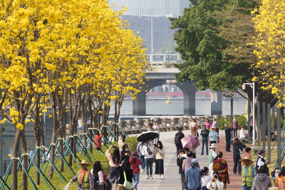 a group of people walking down a sidewalk next to trees