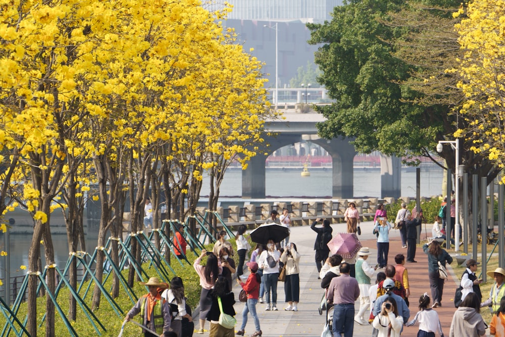 a group of people walking down a sidewalk next to trees