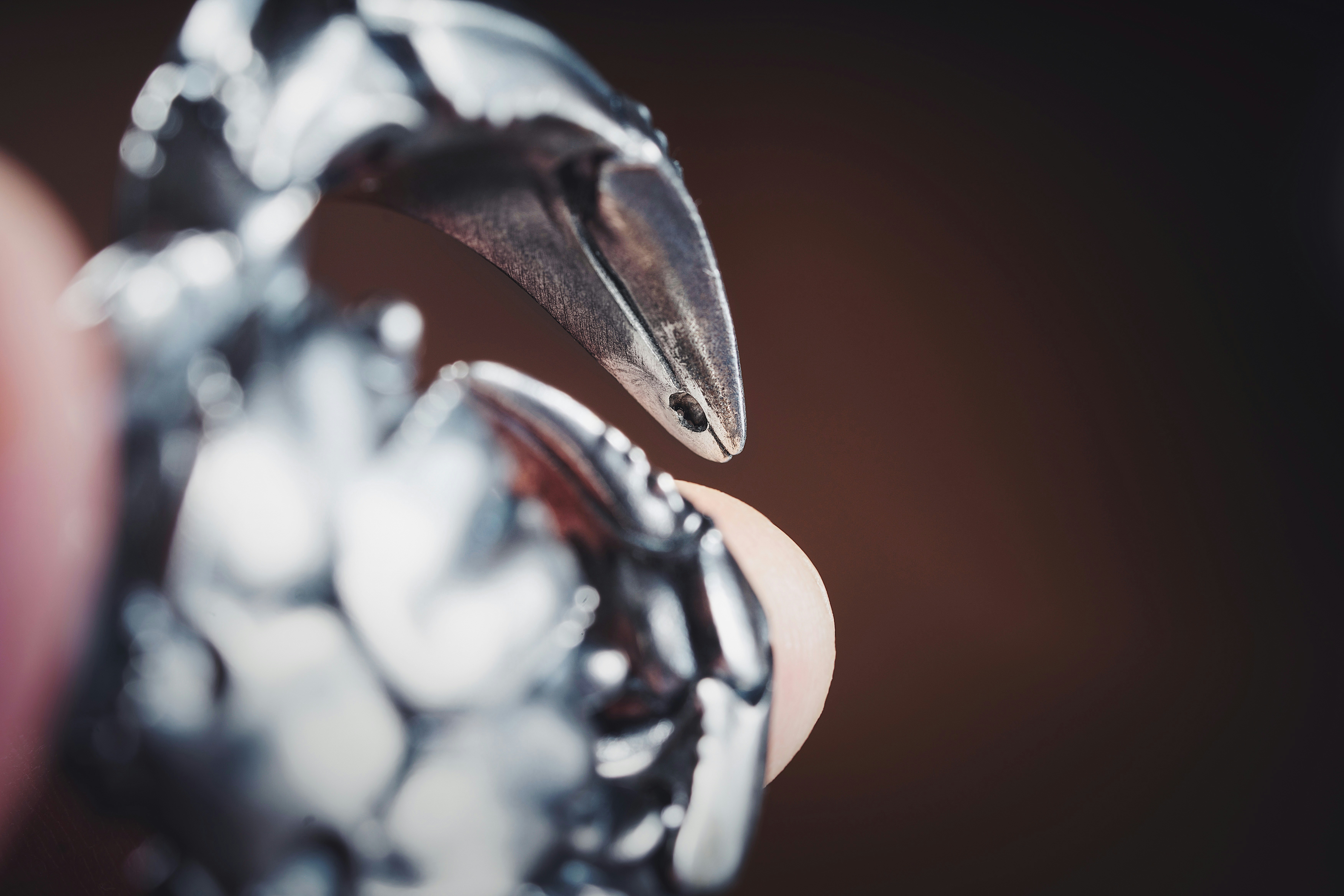 Photo by coppertistwu