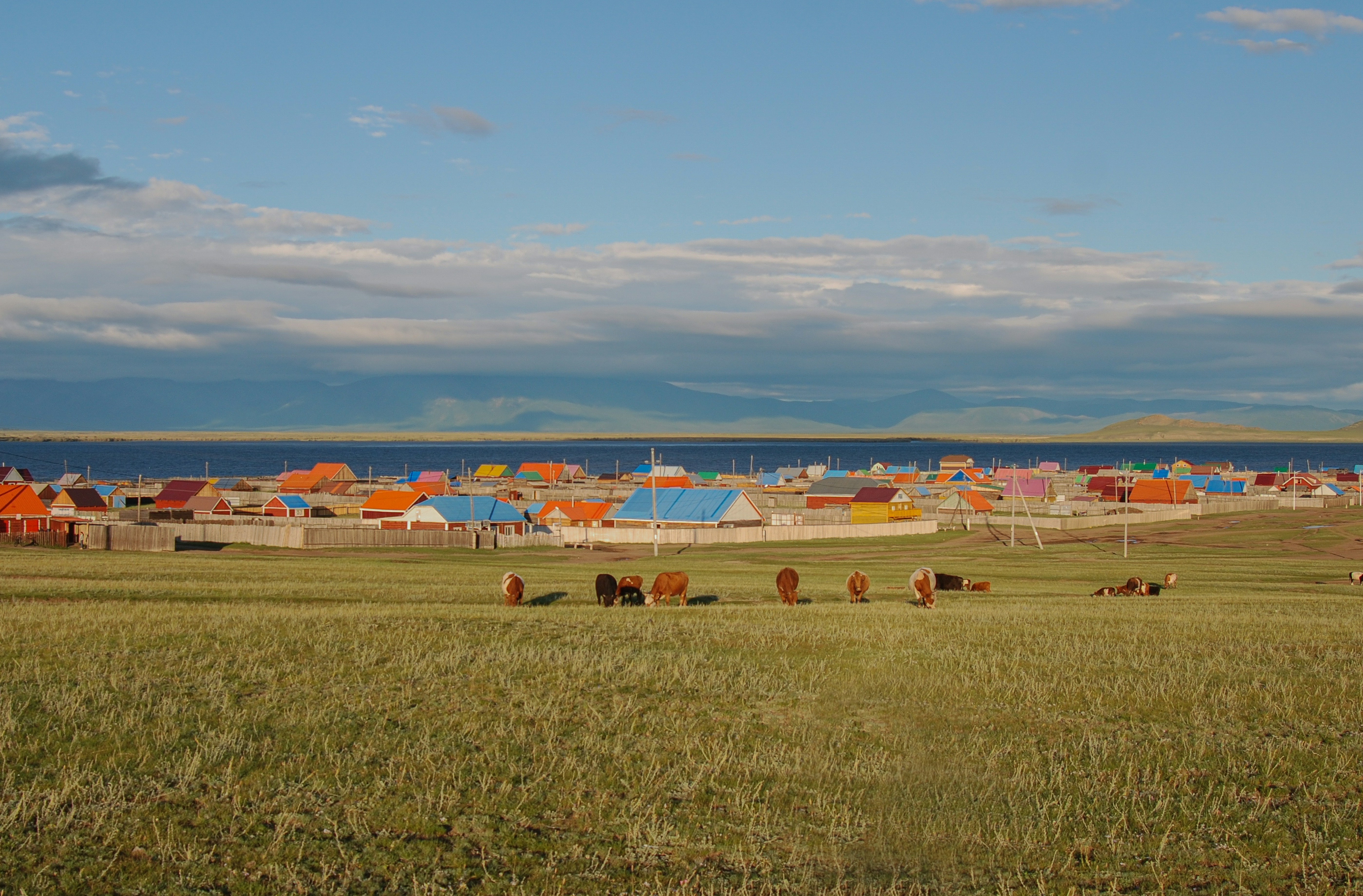 Photo by tengis_photography