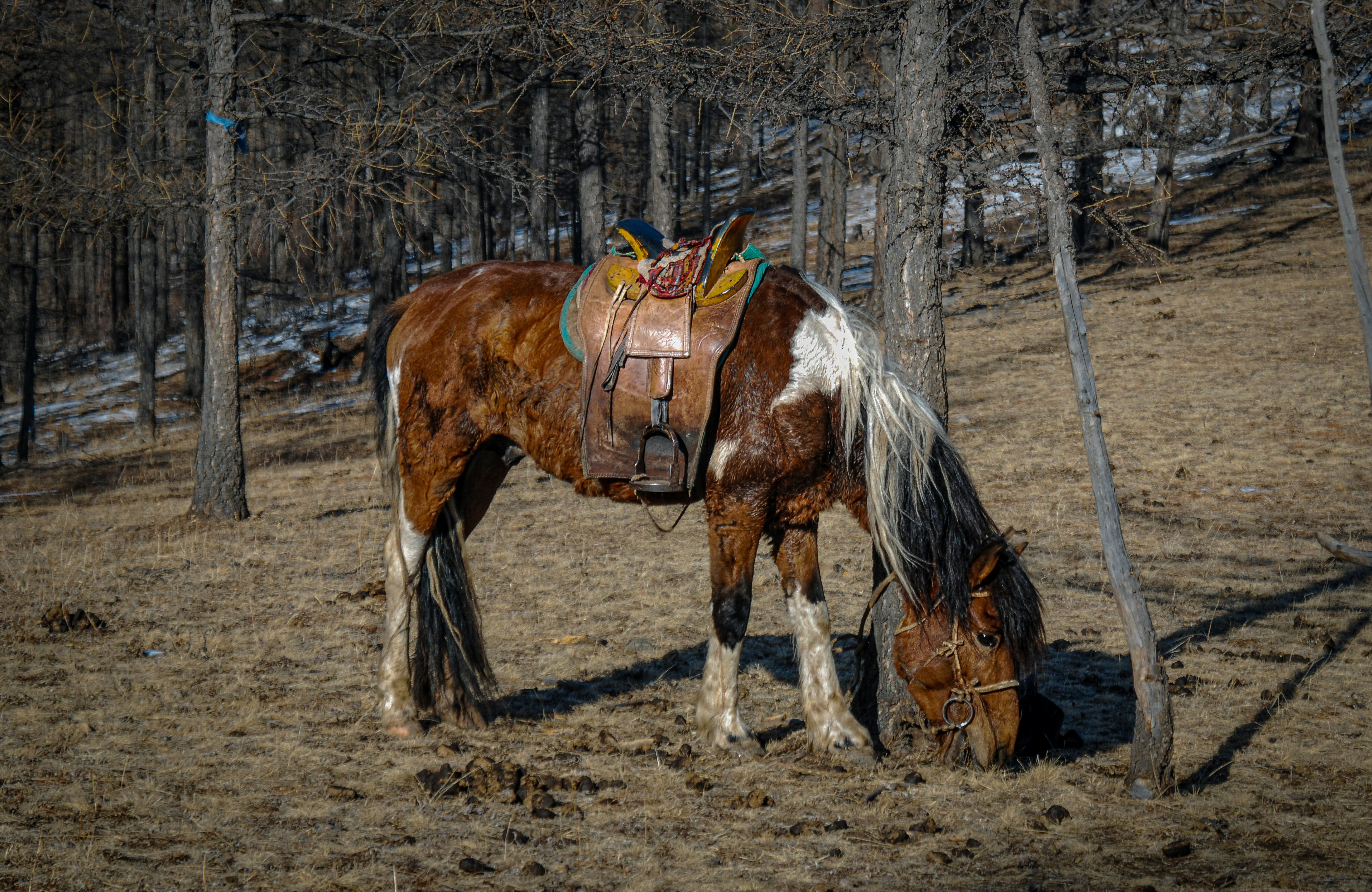 Photo by tengis_photography