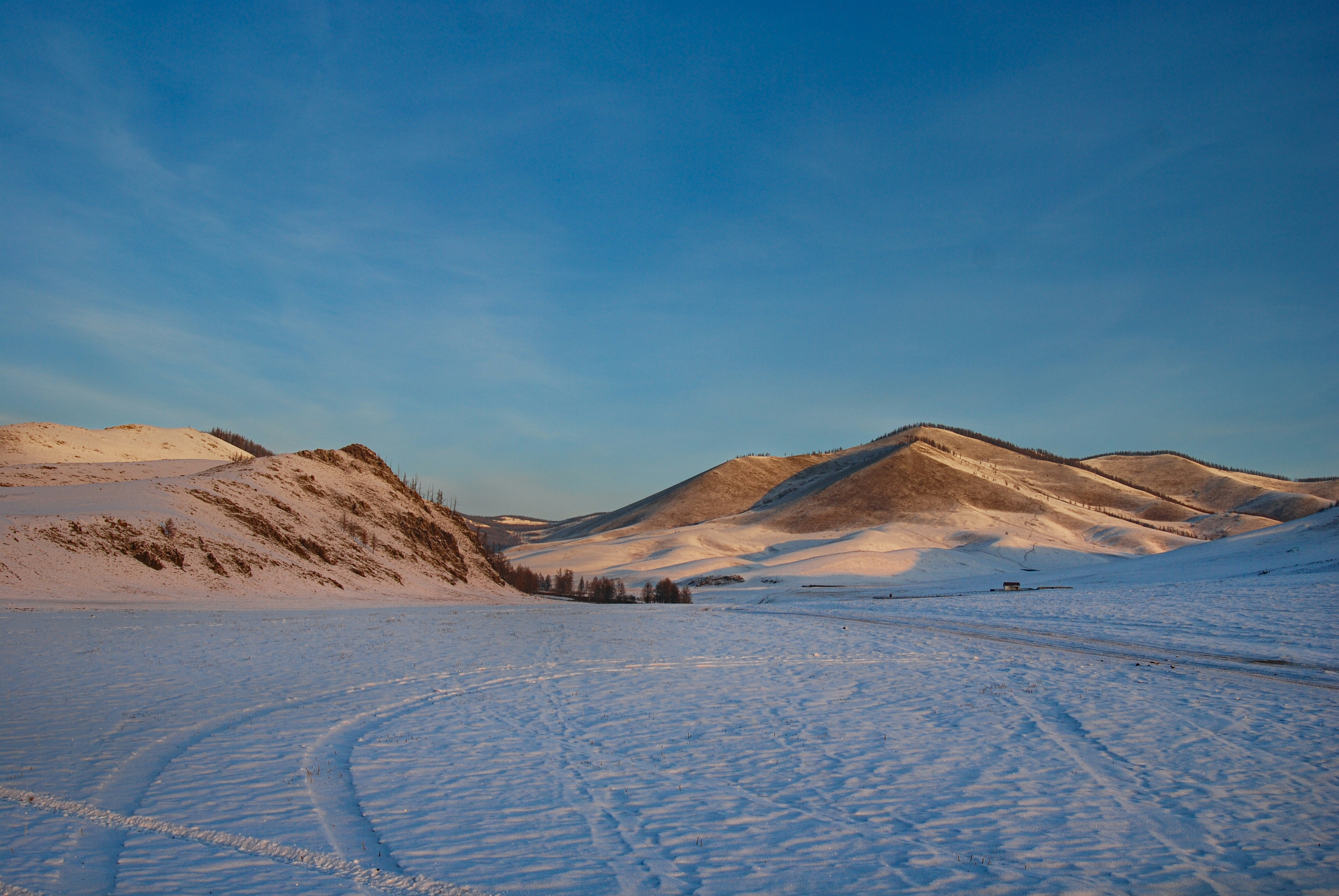 Photo by tengis_photography