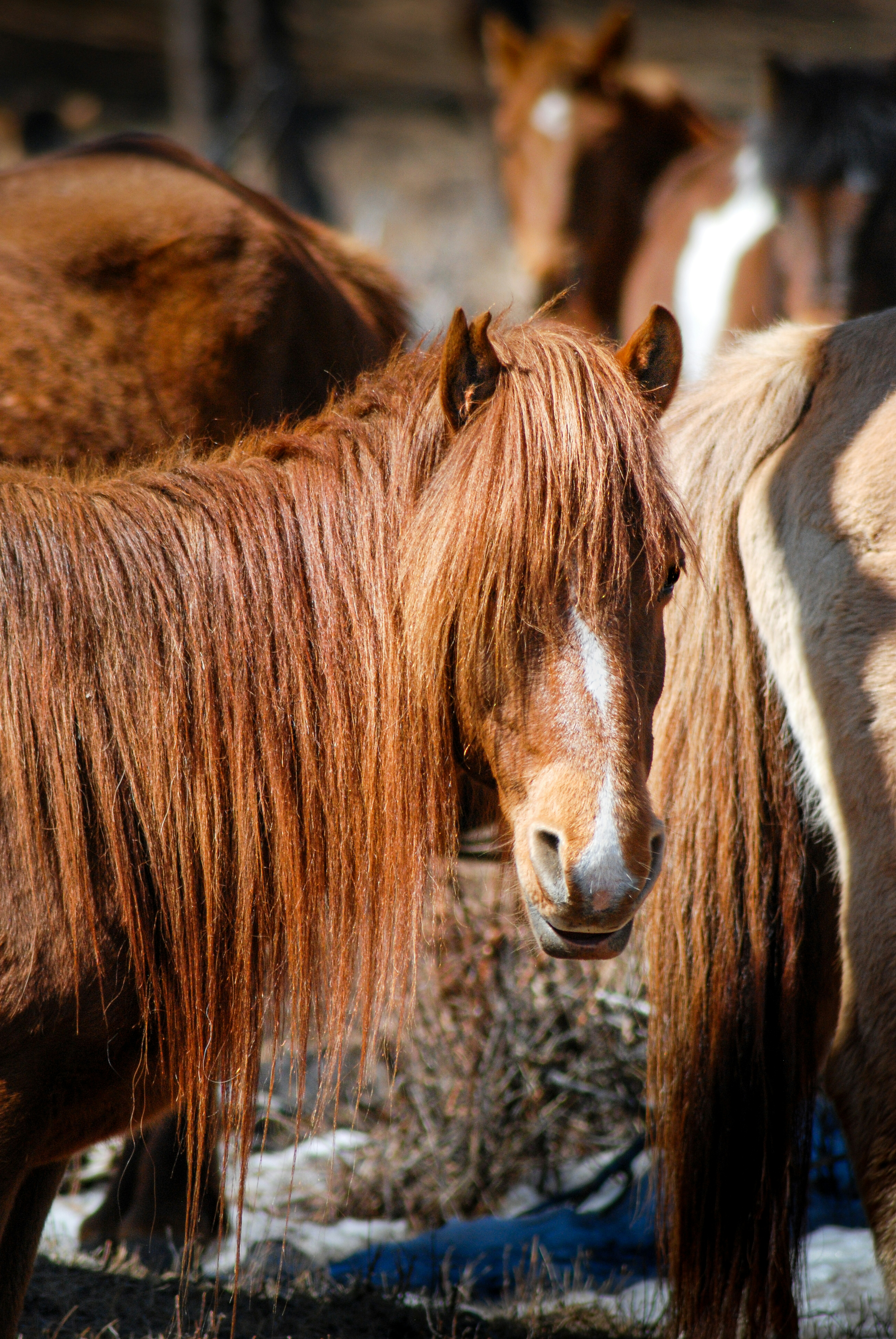 Photo by tengis_photography