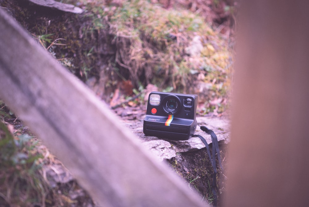 Eine Polaroidkamera, die auf einem Felsen sitzt
