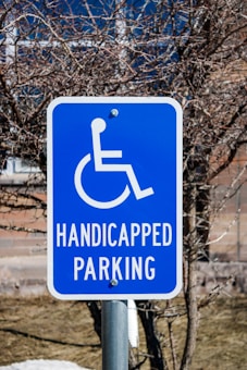 A blue sign with a white wheelchair symbol and the words 'Handicapped Parking' is posted on a metal pole. It is located outdoors, with leafless branches and a blurred background indicating a natural setting.