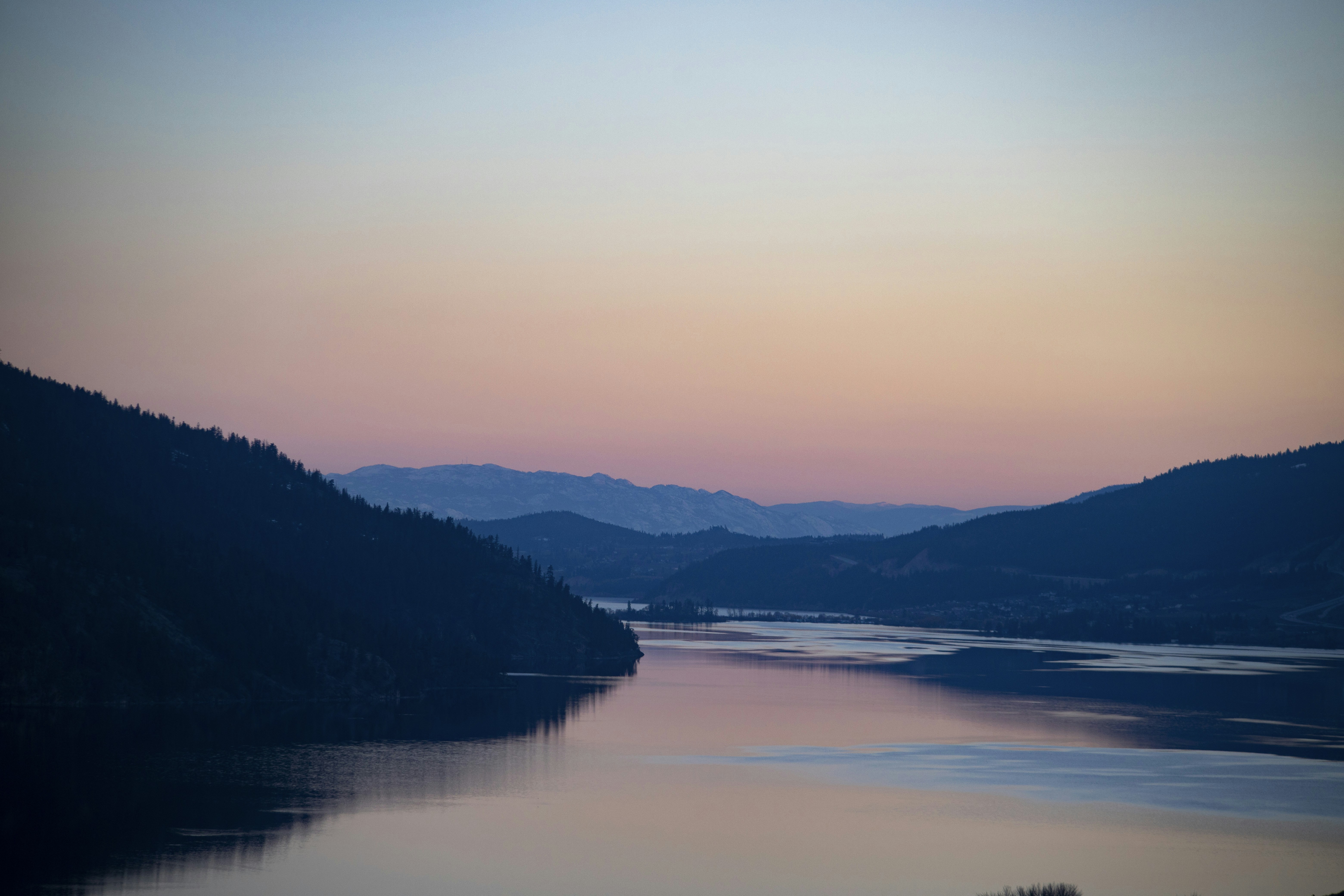 Photo by hollybooker15