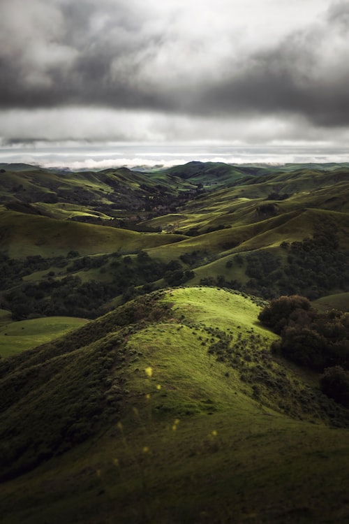 Aerial view of rolling green hills, Trans Nzoia