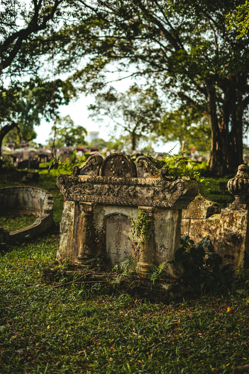 an old cemetery with a tree in the background