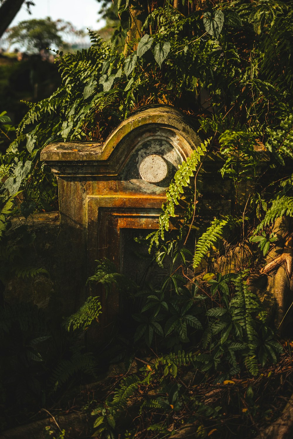 an old clock sitting in the middle of a forest