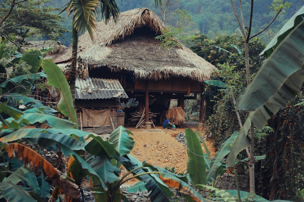 a hut with a thatched roof surrounded by trees