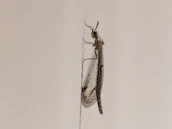 Various types of insect screens displayed neatly in a cozy workshop setting.